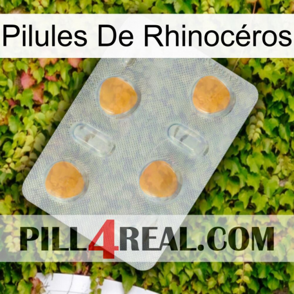 Pilules De Rhinocéros 24